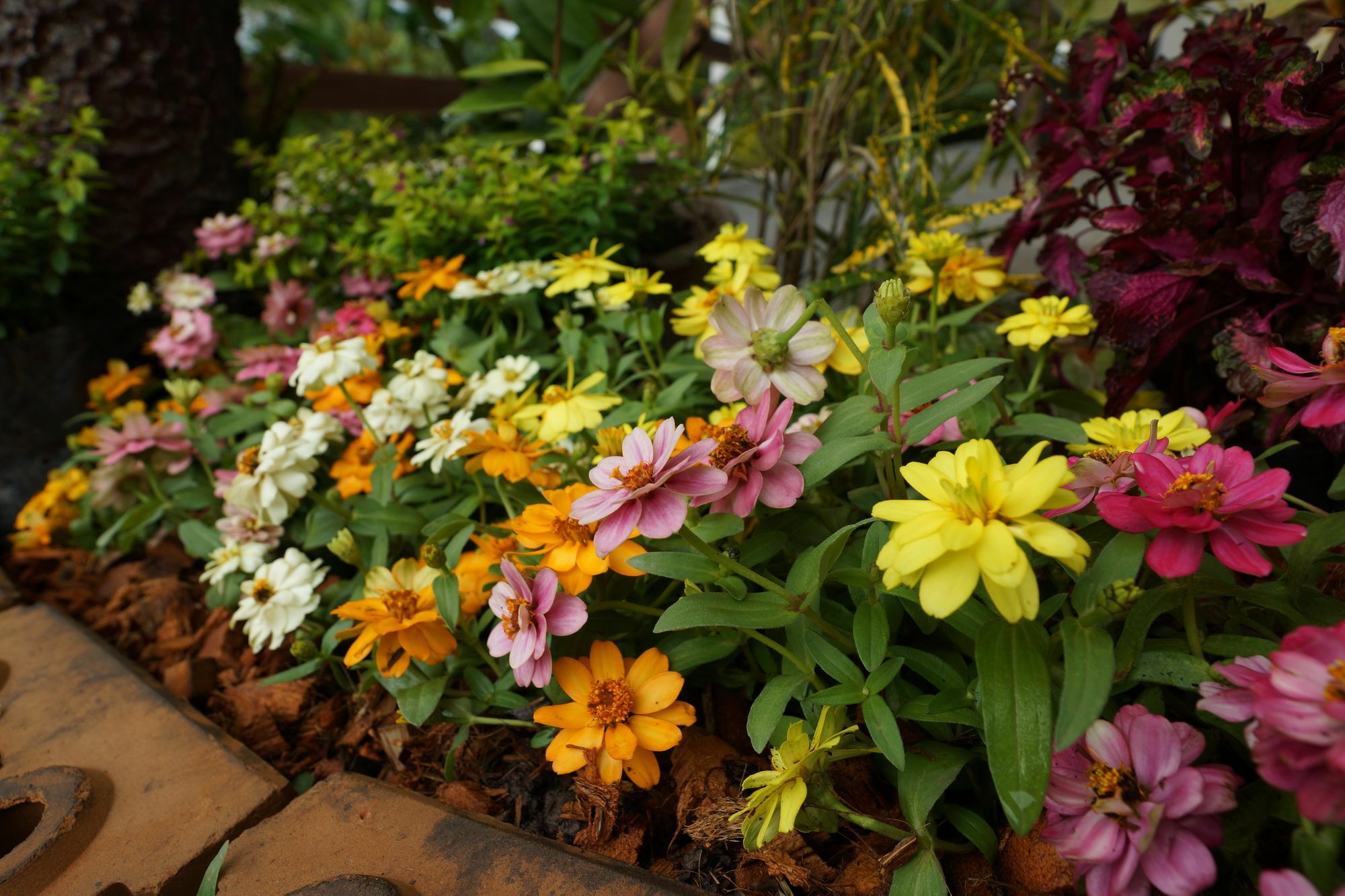 บ้านปลายฝัน Baanplaifun Ban Huai Phai Luaran gambar
